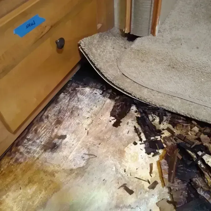 Wood Floor Water Damage in Madison County, AL